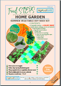 Summer Vegetable DIY Seed Kit picture