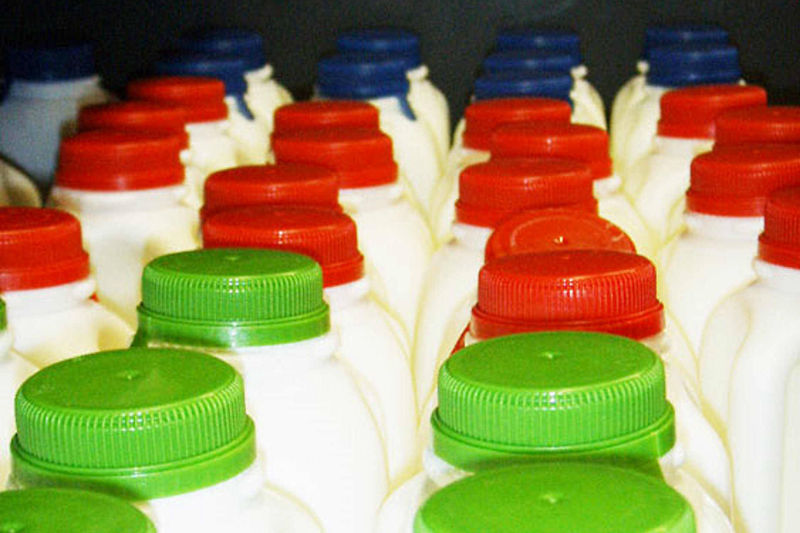Milk Pasteurization & bottling picture